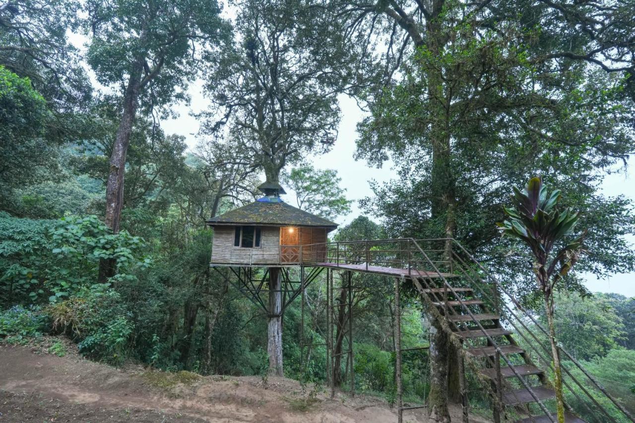Nature Zone Jungle Resort Munnar Luaran gambar