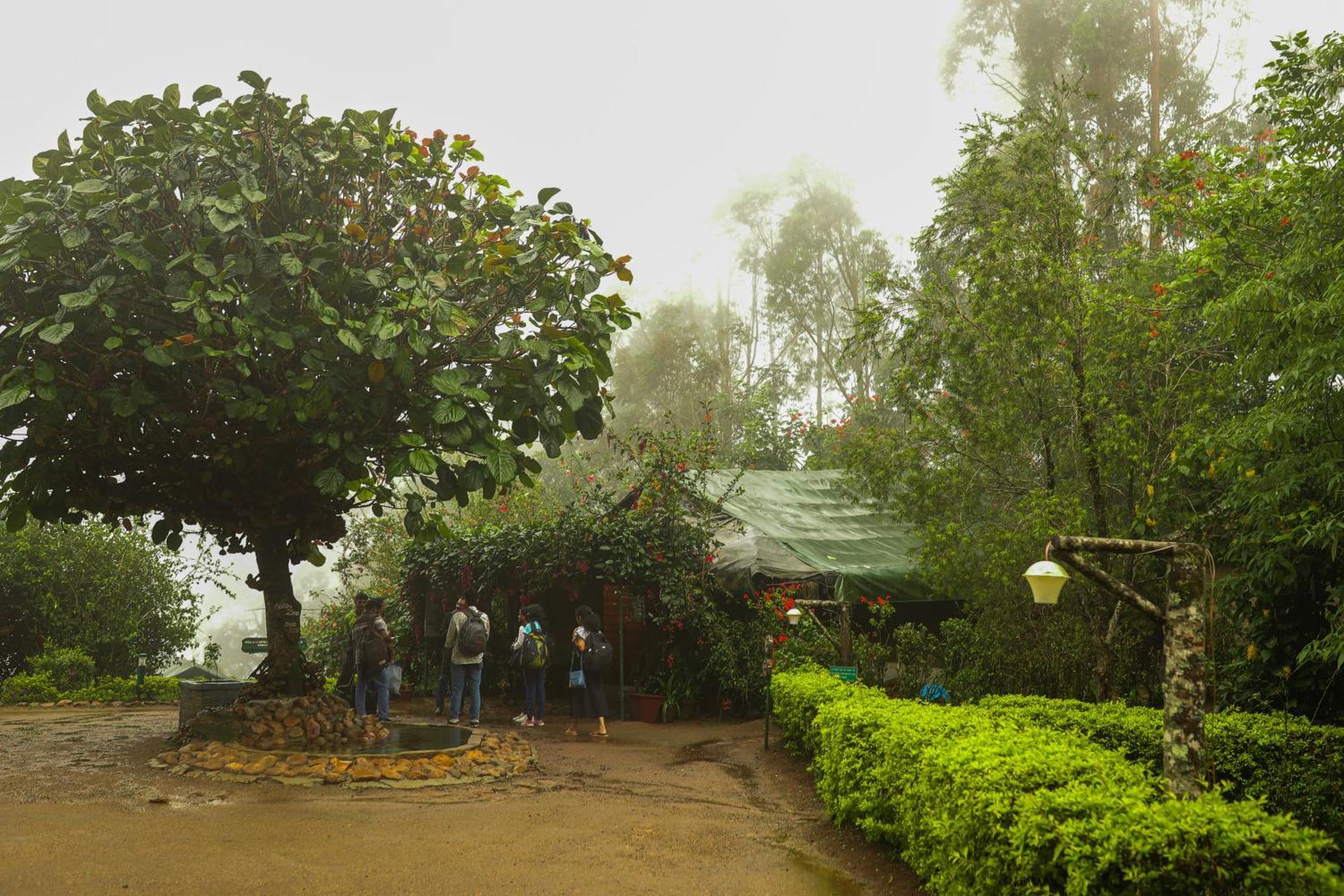 Nature Zone Jungle Resort Munnar Luaran gambar